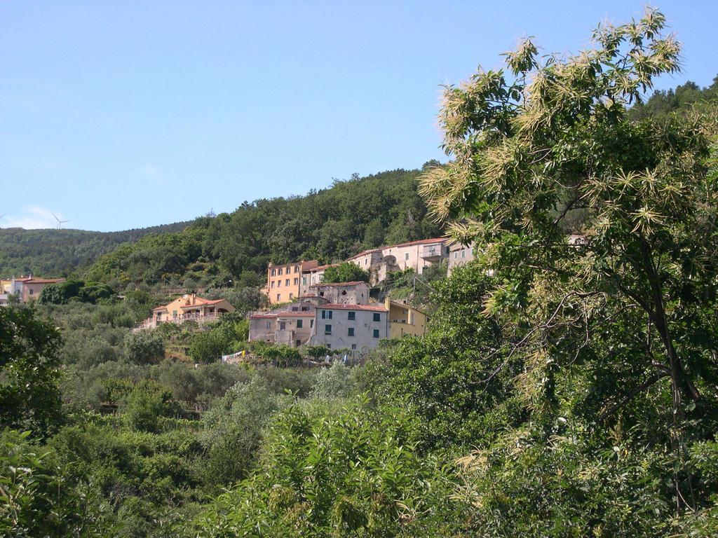 B&B Nelly G Carbuta Buitenkant foto