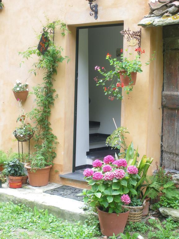 B&B Nelly G Carbuta Buitenkant foto